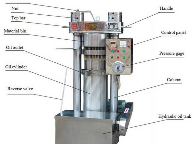 sesame walnut hydraulic oil press machine 4